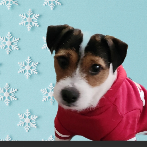 @bethybd LIVE "LIKE" for Notices Of My Shows - Picture 6 of 16